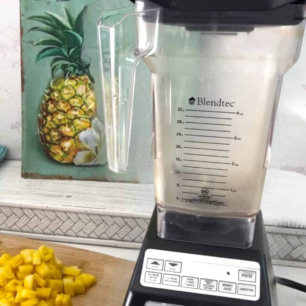 blendtec blender.