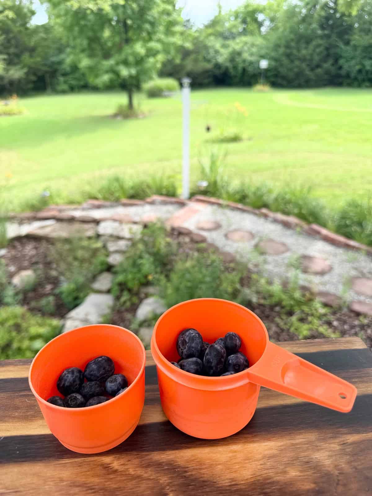 Orange cups with blueberries.